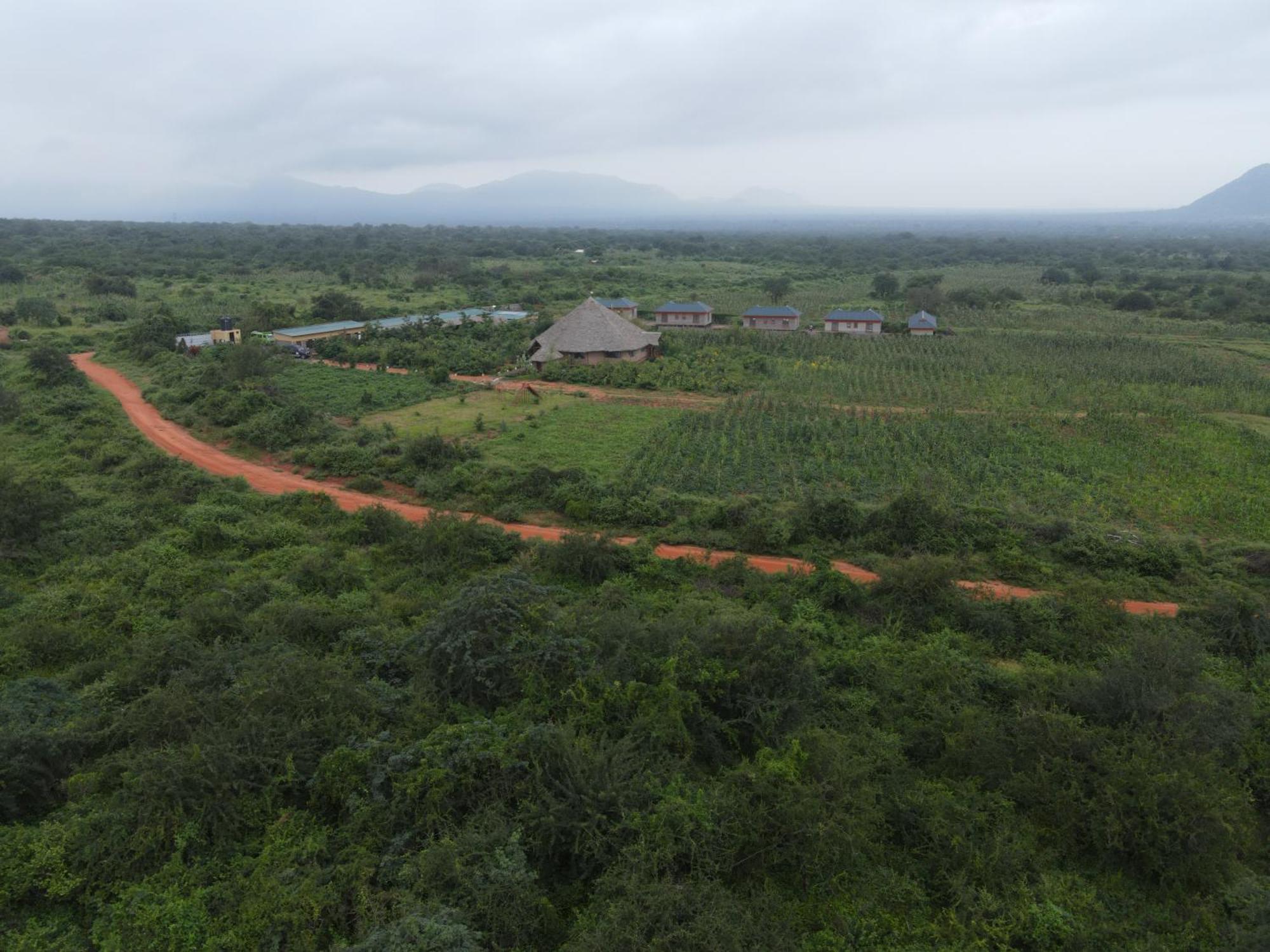 Tausa Tsavo Eco Lodge Voi Eksteriør bilde
