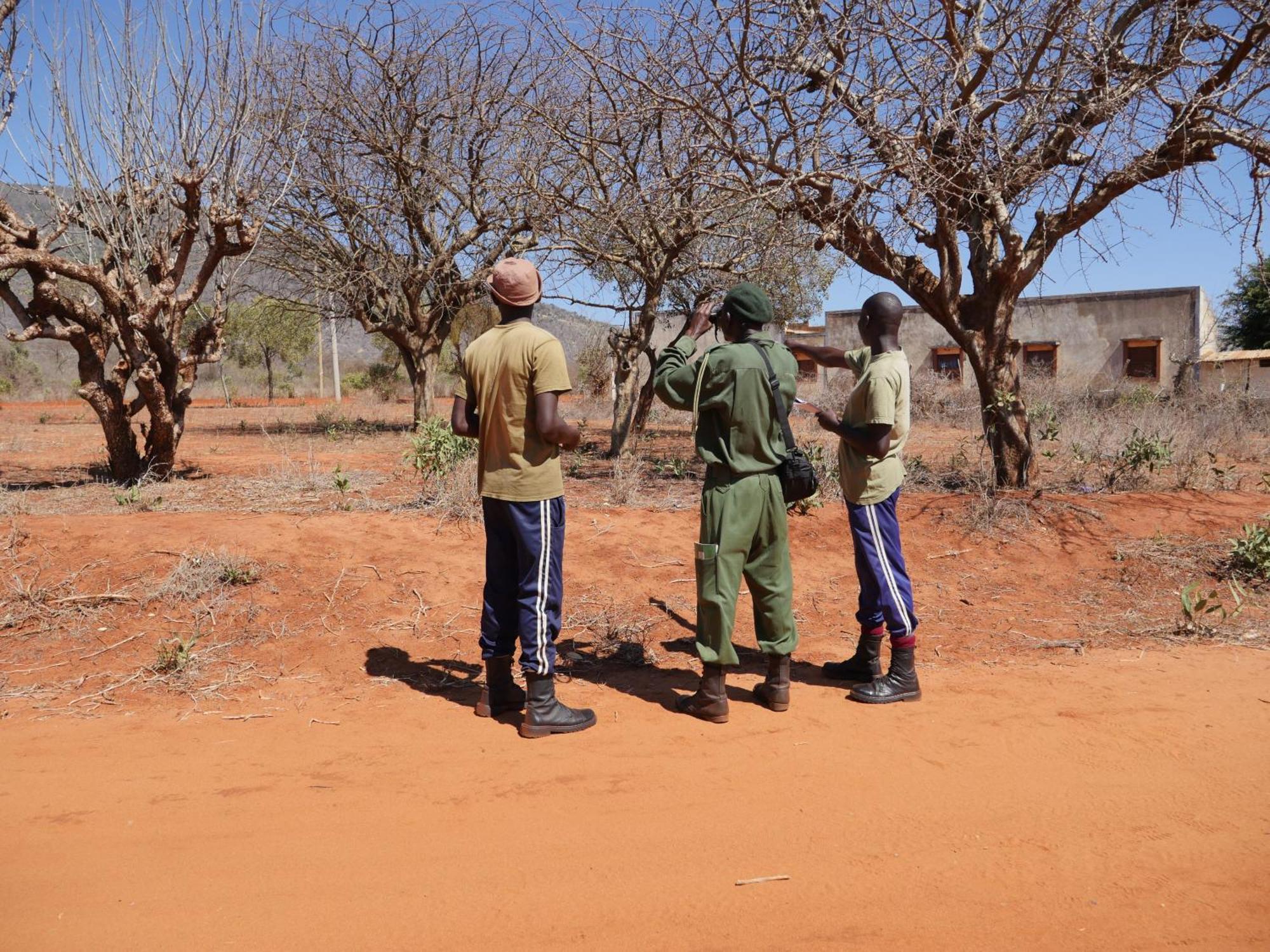 Tausa Tsavo Eco Lodge Voi Eksteriør bilde