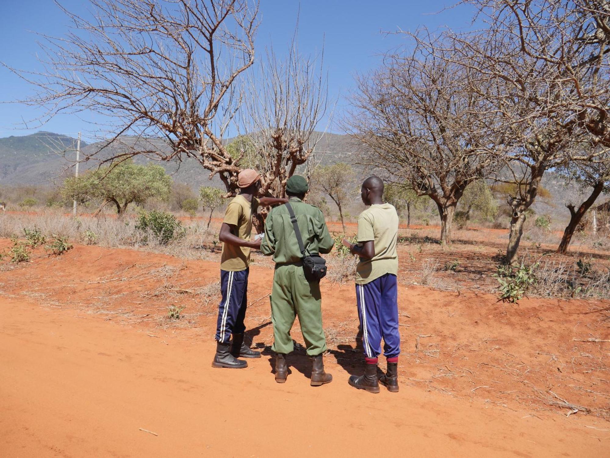 Tausa Tsavo Eco Lodge Voi Eksteriør bilde
