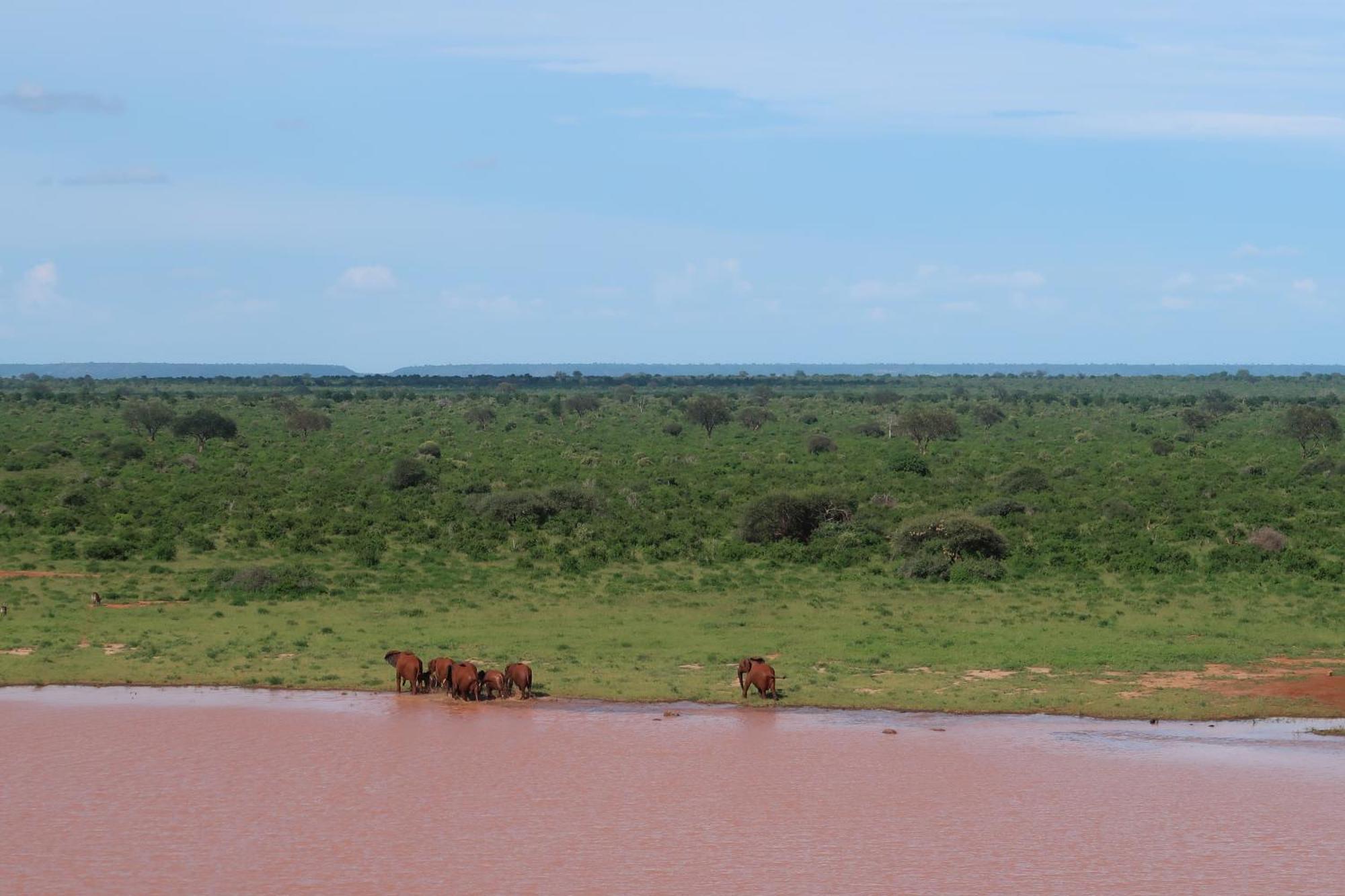 Tausa Tsavo Eco Lodge Voi Eksteriør bilde